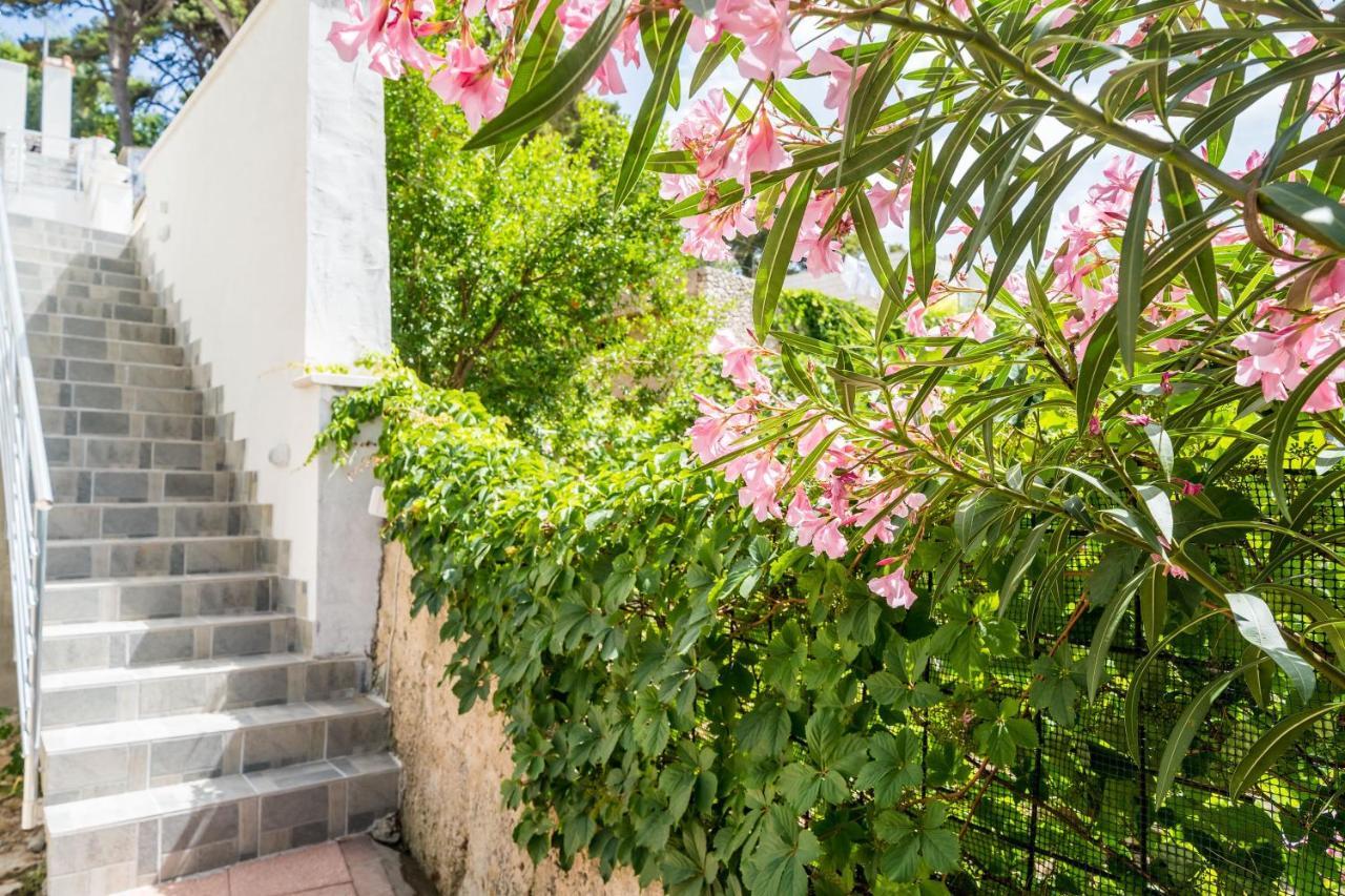 Apartment Eulalija Ντουμπρόβνικ Εξωτερικό φωτογραφία